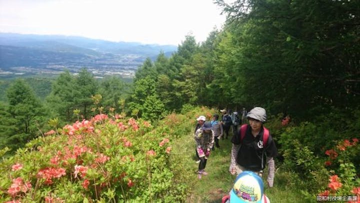 赤城山船ヶ鼻登山道