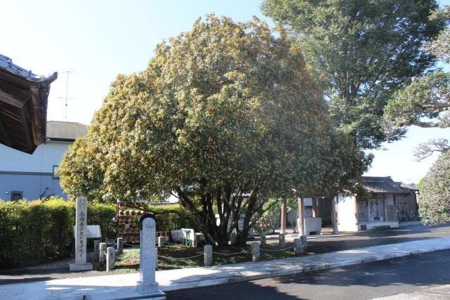 スポットの写真