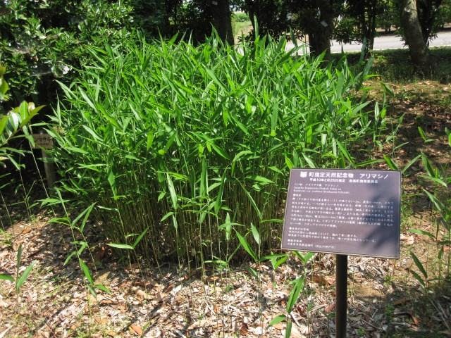 群馬県緑化センター
