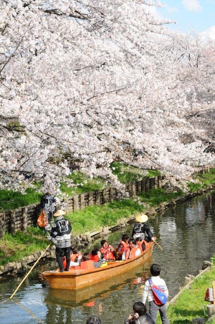 スポットの写真