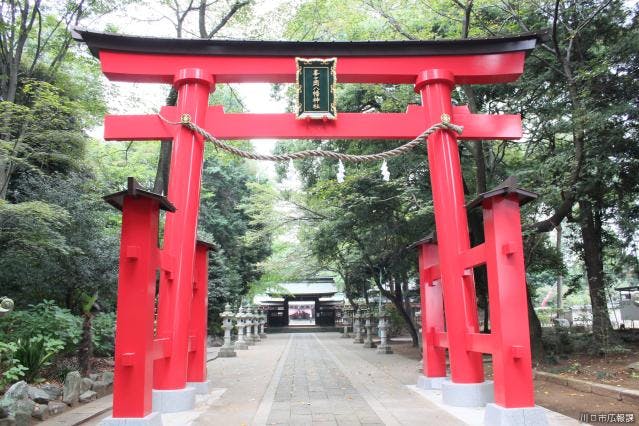 スポットの写真