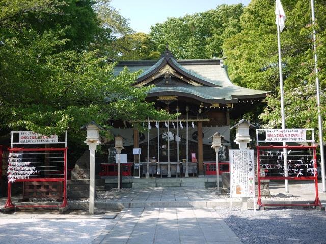 スポットの写真