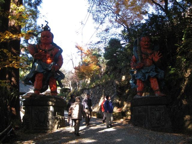 子ノ権現天龍寺