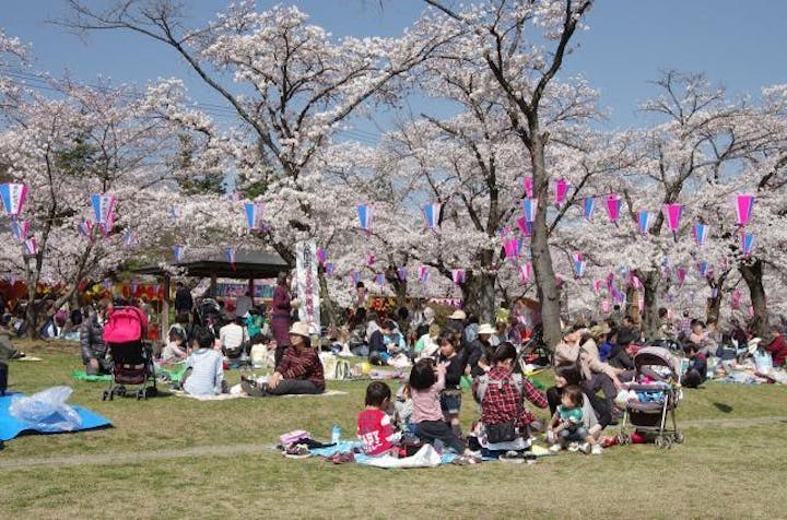 飯能春まつり【2021年中止】