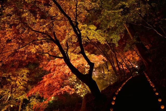 スポットの写真