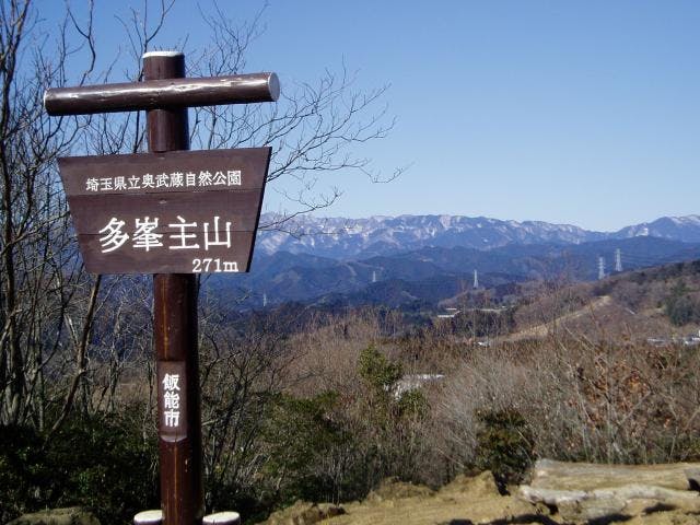 天覧山ハイキングコース アソビュー