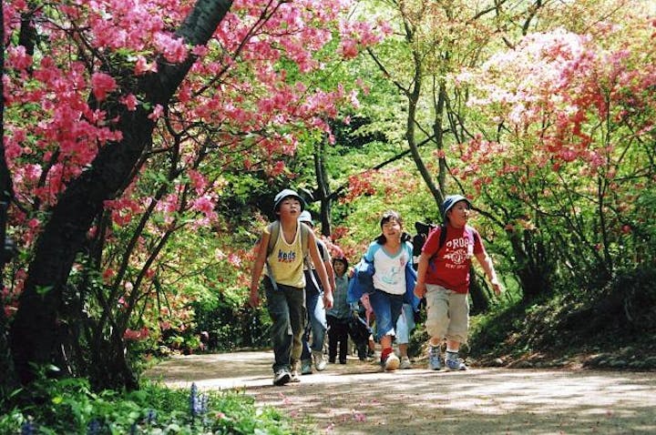 山峡に歴史を訪ねるコース