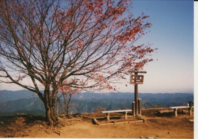 水源のみち（棒ノ折山〈棒の嶺〉）