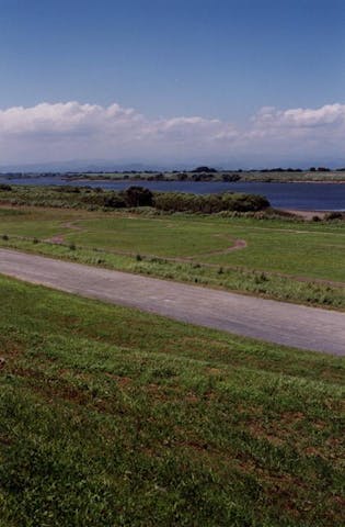 利根川河川敷