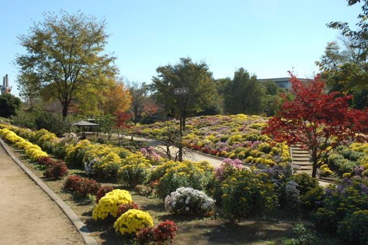 本庄ふるさとフラワーパーク