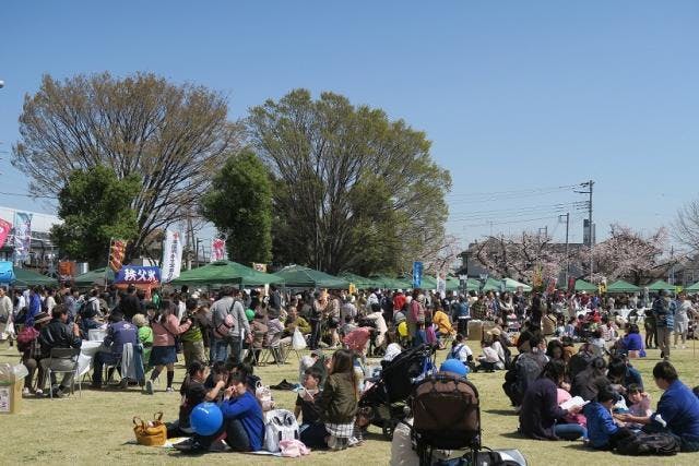 スポットの写真