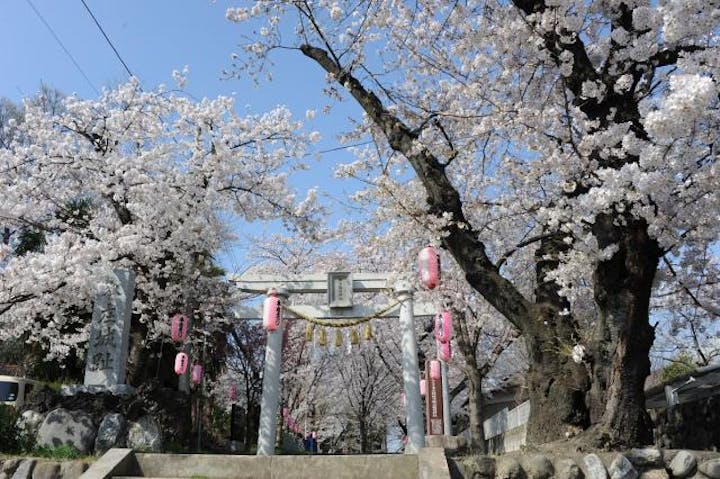 【縮小】城山稲荷神社例大祭