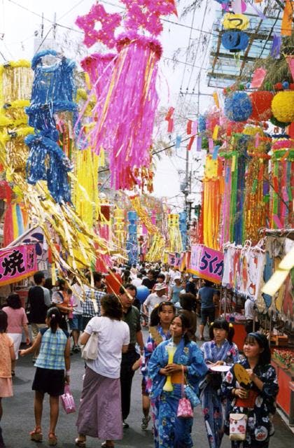 スポットの写真