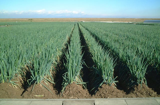 スポットの写真