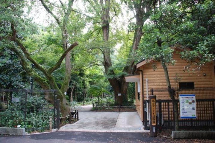 越谷アリタキ植物園