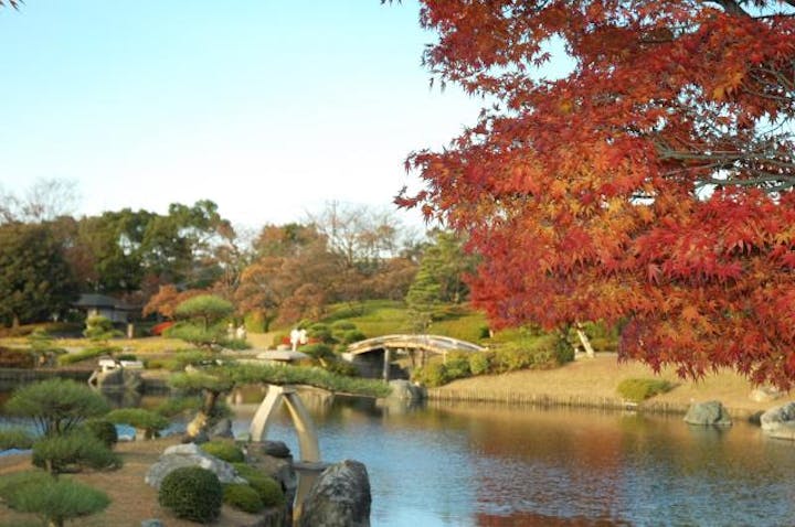 日本庭園花田苑 アソビュー