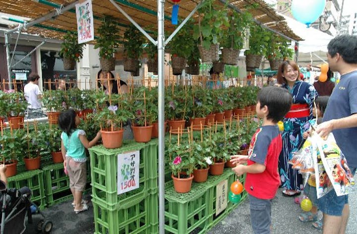 【2021年中止】第46回あさがお＆ほおずき市