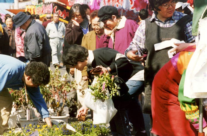 【2021年開催中止】植木市「花フェスタ」