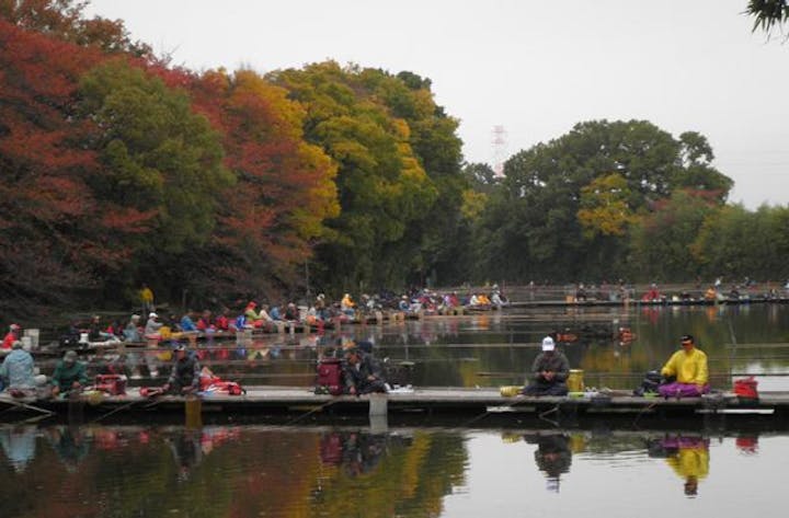 【2020年中止】道満河岸秋季へら鮒つり大会