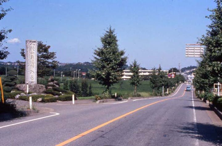 日本一の道標といちょう通り