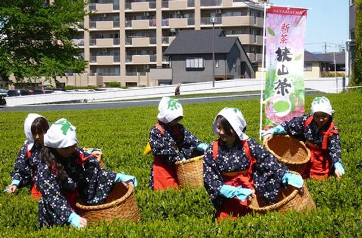 【2021年中止】八十八夜新茶まつり