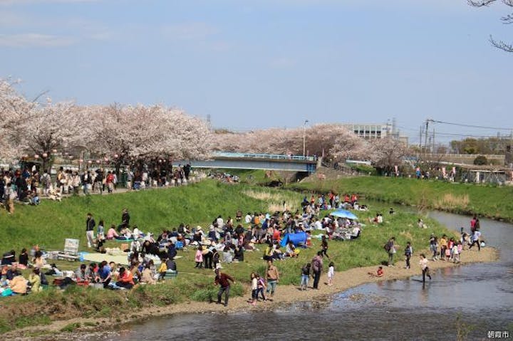 【縮小】黒目川花まつり