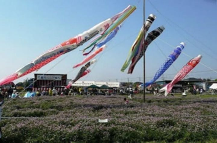 【2021年中止】れんげ祭り