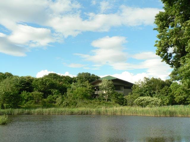自然観察公園の池