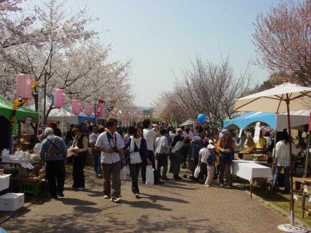 【2020年中止】さくらまつり（埼玉県北本市）