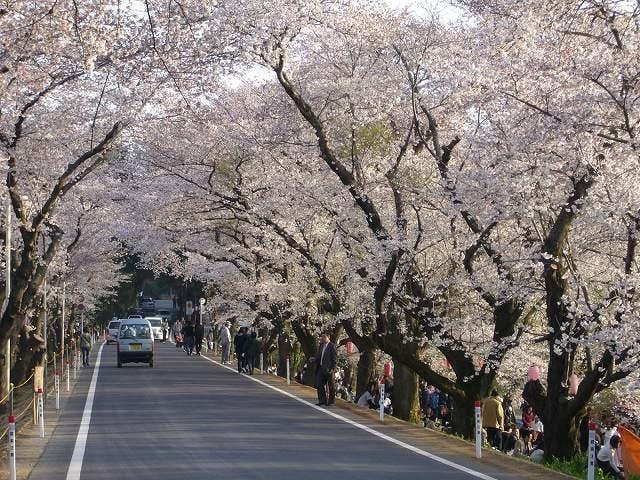 ふるさと歩道　荒川沿いの史跡を訪ねるコース