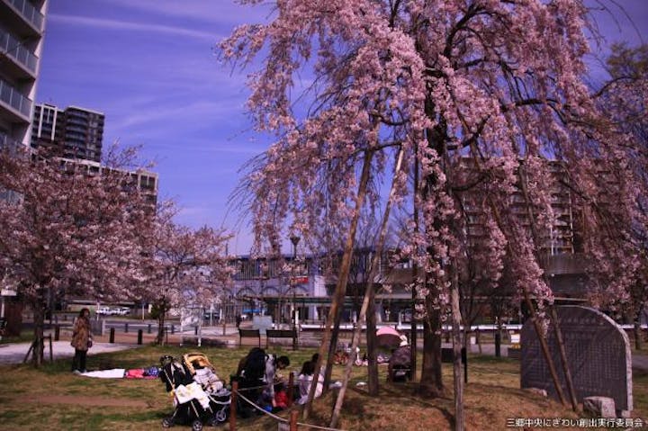【2021年中止】三郷春まつり