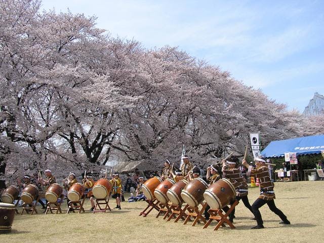【2020年中止】無線山さくらまつり