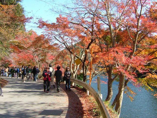鎌北湖の紅葉