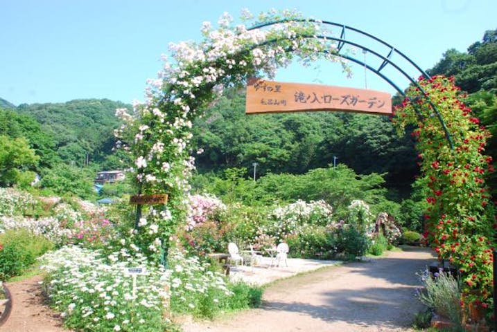 滝ノ入ローズガーデン