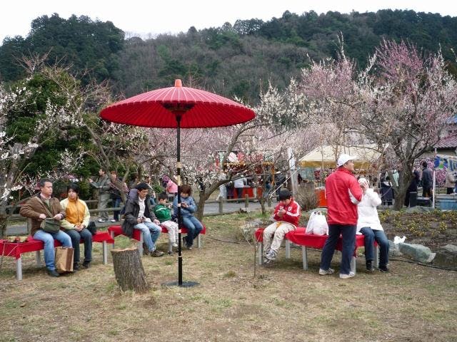越生梅林梅まつり