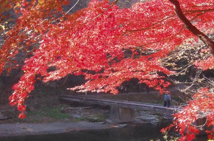 嵐山渓谷の紅葉 アソビュー