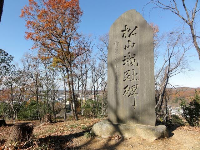 国指定史跡「比企城館跡群　松山城跡」