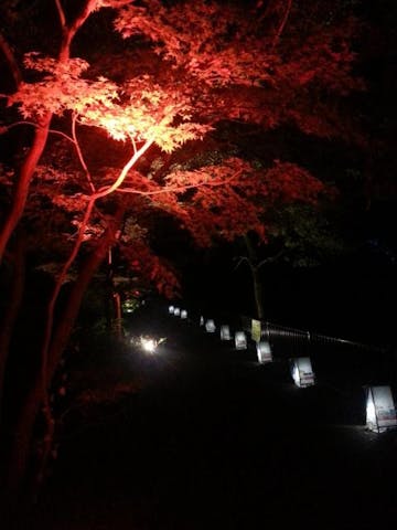 八丁湖ヒーリングナイト