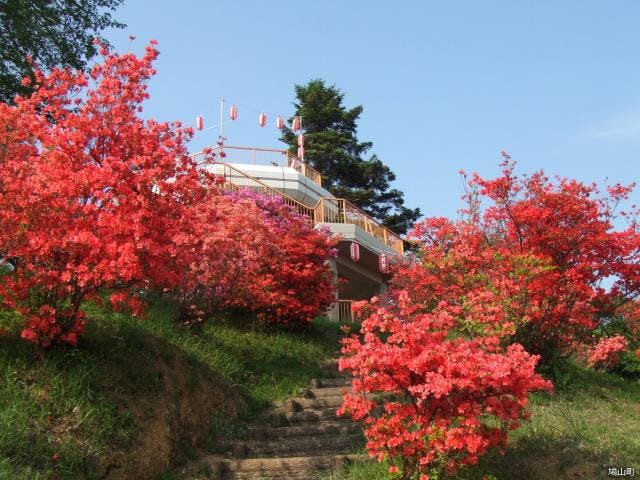 【2021年中止】おしゃもじ山つつじ祭