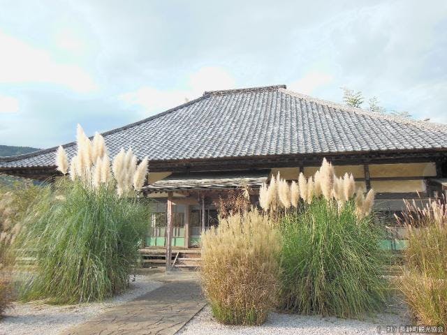 道光寺の尾花