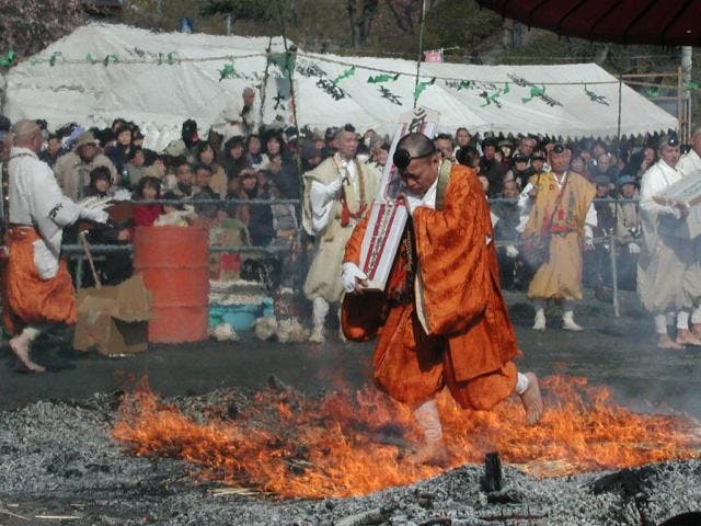 スポットの写真