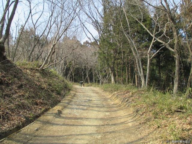 宝登山遊歩道