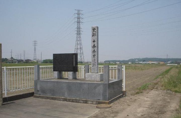 十条条里遺跡