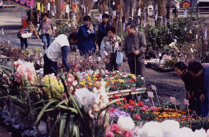春祭り（植木市）