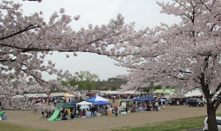 【2020年中止】かみさと桜まつり