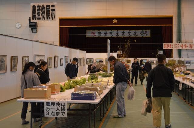 スポットの写真