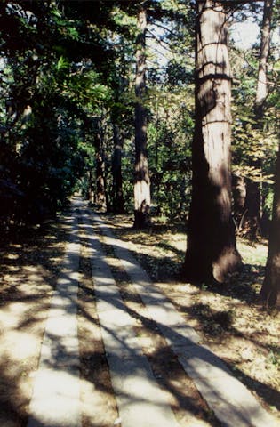 神明神社の社叢