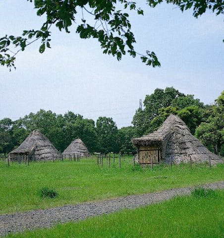 千葉市立加曽利貝塚博物館