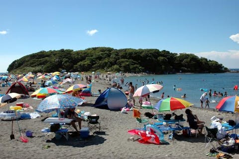 新井海水浴場 アソビュー