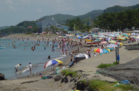 新井海水浴場 アソビュー